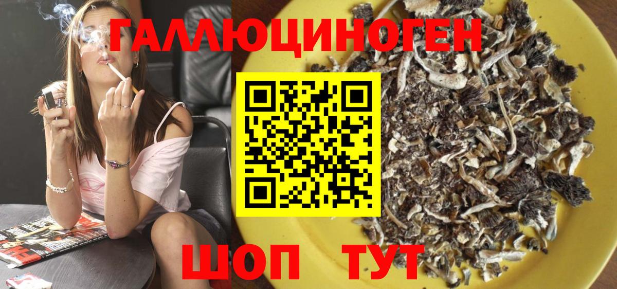 Псилоцибиновые грибы Cubensis  Вход с VPN  Артём  Галлюциногенные грибы Psilocybine cubensis 