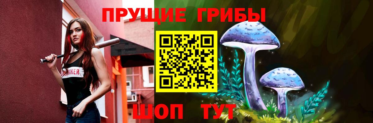 Галлюциногенные грибы Cubensis  Артём 